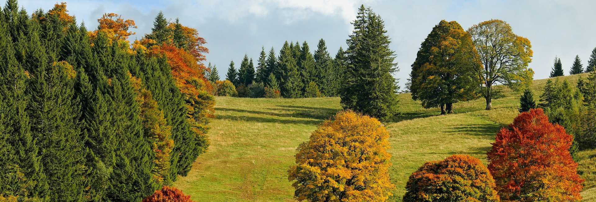 Commune de Chevannay Commune de Chevannay