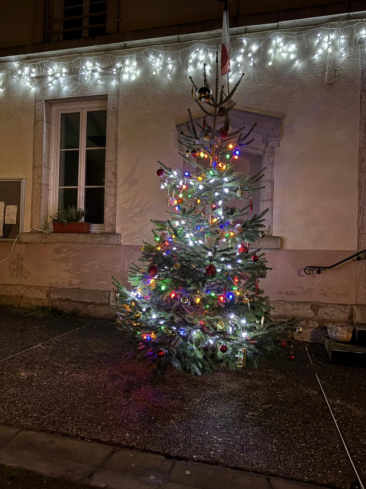 Décoration des sapins